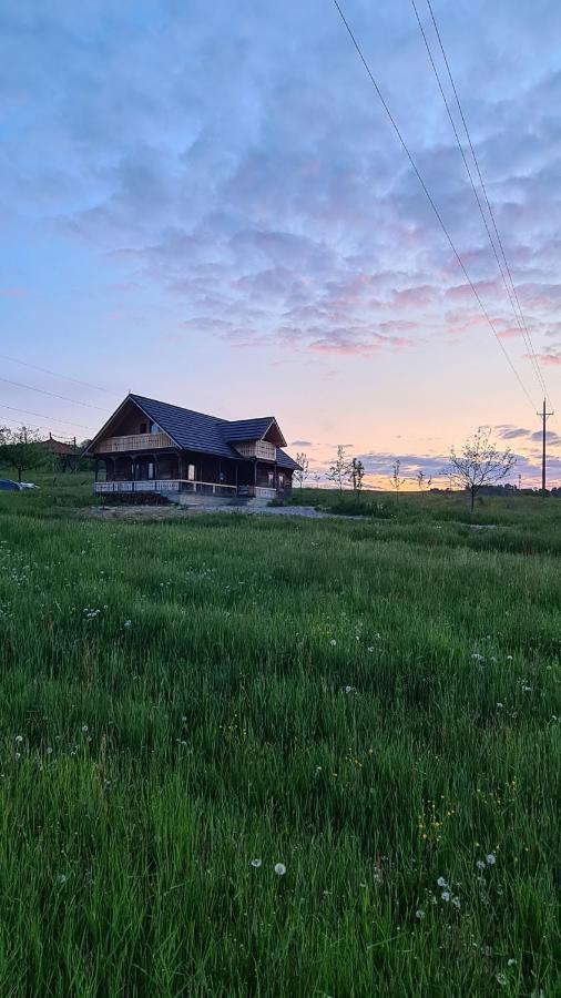 Villa Casa Bunicilor Din Oncesti Exterior foto